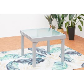 Molvina table de jardin extensible 8 places en aluminium