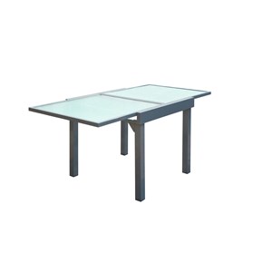 Molvina table de jardin extensible 8 places en aluminium