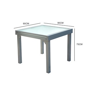 Molvina table de jardin extensible 8 places en aluminium