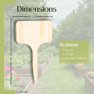 60 étiquettes en bois jardin 10x6 cm + crayon double mine