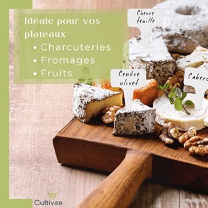 120 étiquettes blanches jardin à planter en plastique + marqueur