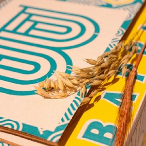 Bapbap - pack de 12 bières (6 bières différentes)