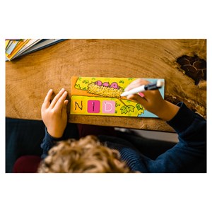 La petite ecole - j ecris les mots