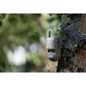 Caméra 4g reolink g770 – suivi auto intelligent & zoom, 100% autonome solaire