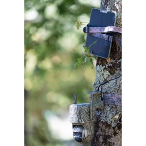 Caméra 4g reolink g770 – suivi auto intelligent & zoom, 100% autonome solaire