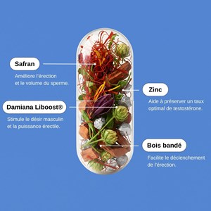 Erect power- cure érection de 2 mois