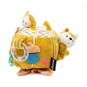 Cube d'activités cyranos le renard