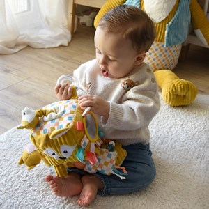 Cube d'activités cyranos le renard