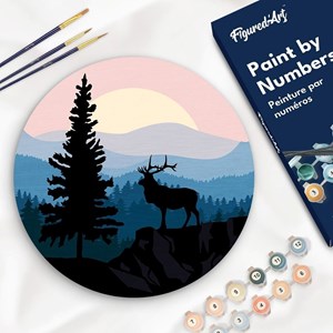 Peinture par numéro sur disque en b