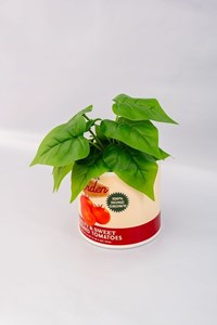 Vase en céramique ban.do – boîte de