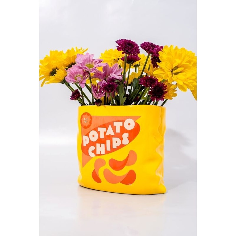 Vase fun et décalé paquet de chips