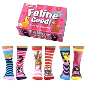 Bon félin - coffret cadeau chausset