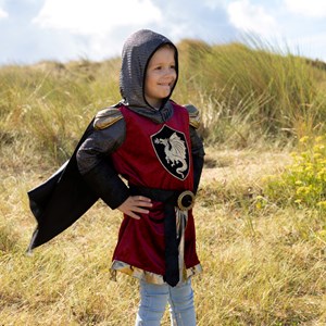 Chevalier tristan 3-4 ans - déguisement 3-4 ans - 96cm