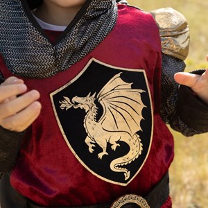 Chevalier tristan 8-10 ans - déguisement 8-10 ans - 138cm