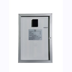 Module mono 10w