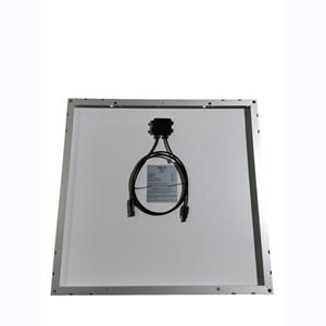 Module poly 60w