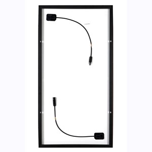 Module back-contact ng mono 100w bl