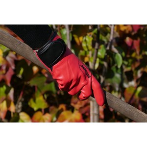 Gant de jardinage maxima.f - rostaing - 7 - s S