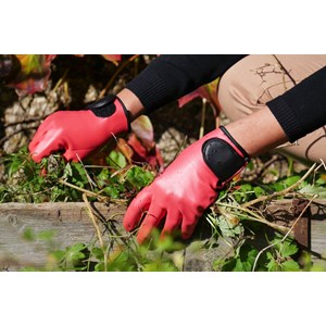 Gant de jardinage maxima.f - rostaing - 7 - s S