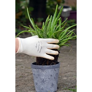 Gant de jardinage latex et bambou nude - rostaing - 8 - m M