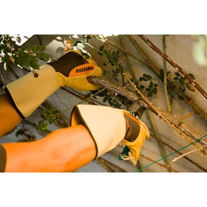 Gant de protection épines et ronces roncier - rostaing - 7 - s S