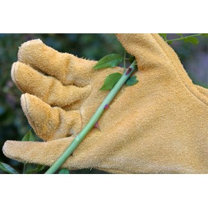 Gant de protection épines et ronces roncier - rostaing - 7 - s S