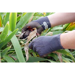 Gant de jardinage looké roots - rostaing - 7 - s S