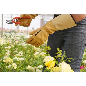 Gant de jardinage taille des rosiers et petits épineux roseraie - rostaing - 8 - M