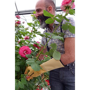 Gant de jardinage taille des rosiers et petits épineux roseraie - rostaing - 9 - L