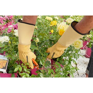 Gant de jardinage taille des rosiers et petits épineux roseraie - rostaing - 9 - L