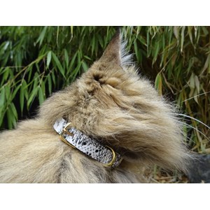 Collier pour chat panthera pardus by maurice en cuir - taille 2 - rose