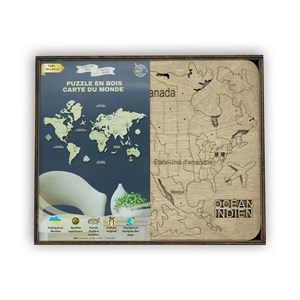 Carte du monde en bois 2d 60*40 cm