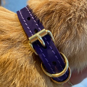 Collier pour chat panthera uncia by maurice en nubuck - taille 3 - violet