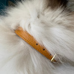 Collier pour chat lynx lynx by maurice en cuir grainé - taille 1 - jaune