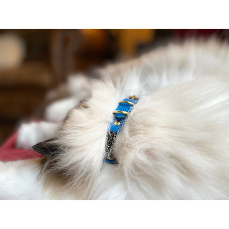 Collier pour chat lynx lynx by maurice en cuir grainé - taille 3 - bleu