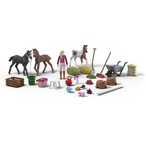 Calendrier de l'avent horse club 3