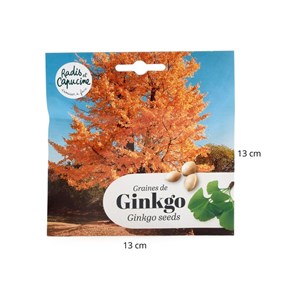 Kit bonsaï - ginkgo