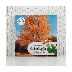 Kit bonsaï - ginkgo