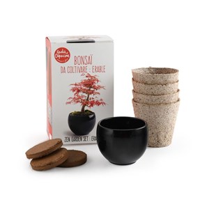 Kit bonsaï - erable rouge