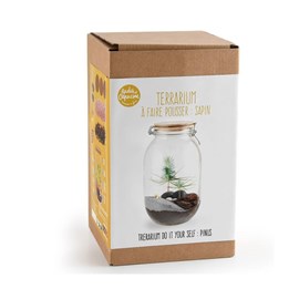 Terrarium à faire soi même - sapin de no