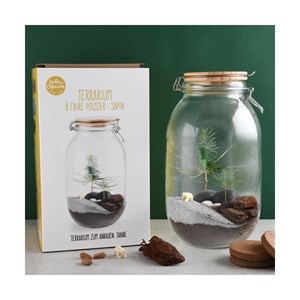 Terrarium à faire soi même - sapin de no