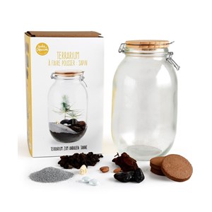 Terrarium à faire soi même - sapin de no