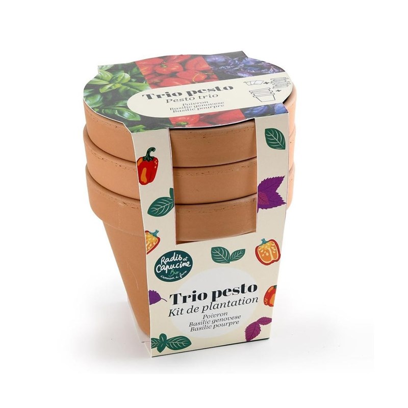 Trio de pots en terre cuite - pesto bio