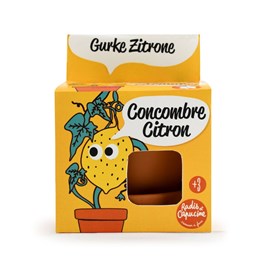 Kit pot terre cuite 8 cm - concombre cit