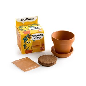 Kit pot terre cuite 8 cm - concombre cit