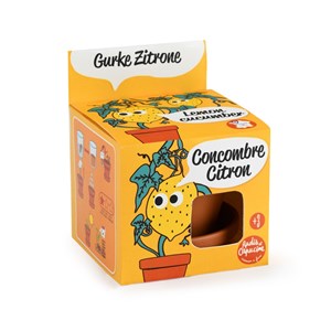 Kit pot terre cuite 8 cm - concombre cit
