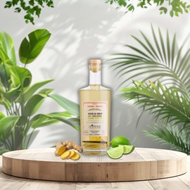 Punch au rhum gingembre citron vert – l’esprit ti’punch revisité