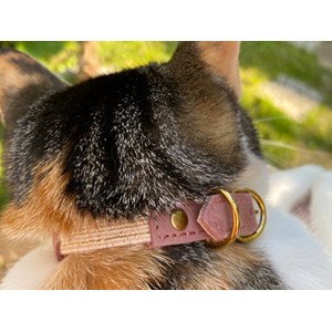 Collier pour chat panthera uncia by maurice en nubuck - taille 1 - rose