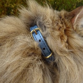 Collier pour chat panthera pardus by maurice en cuir - taille 2 - bleu