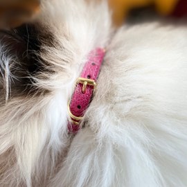 Collier pour chat lynx lynx by maurice en cuir grainé - taille 1 - rose